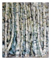 Obraz Birch Tree